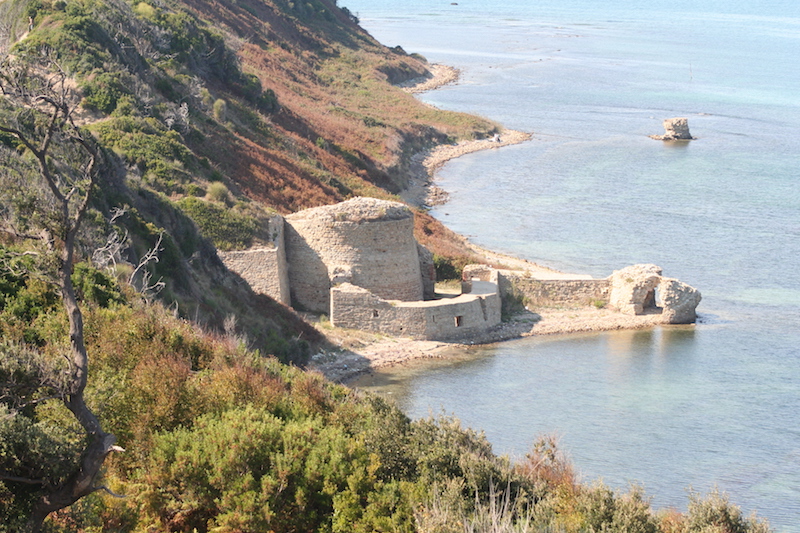 Kepi i Rodonit