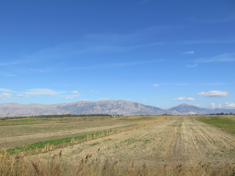 Landschaft