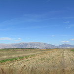 Landschaft