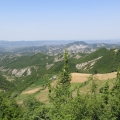 Unberührte Natur